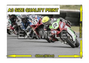 A3 Quality Irish Motorcycle and Sidecar racing prints for sale
